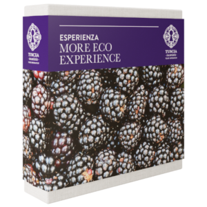 More Eco Experience
