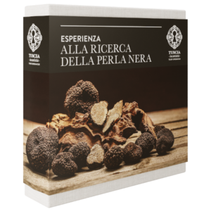 Alla ricerca della Perla Nera